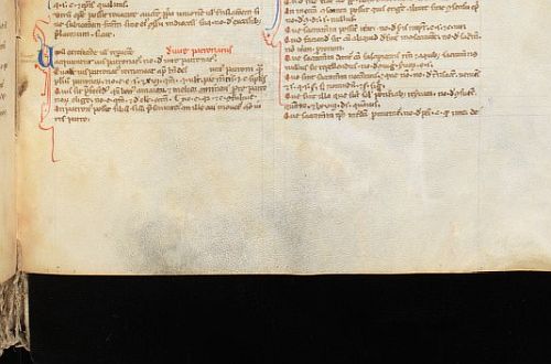 thread tackets hanging from pages