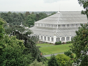 View of Temperate House from Treetop Walkway