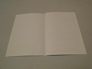 two pages with lighter skin inside