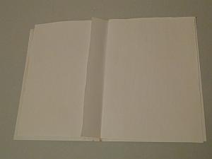 leaf glued onto stub guard